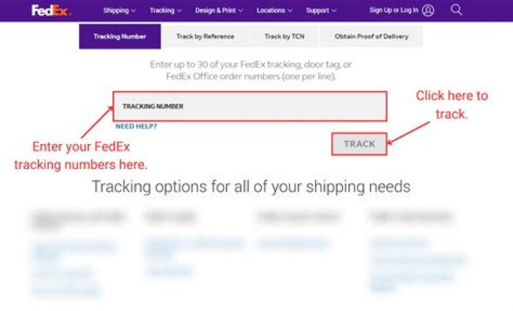 Como rastrear no FedEx BR?