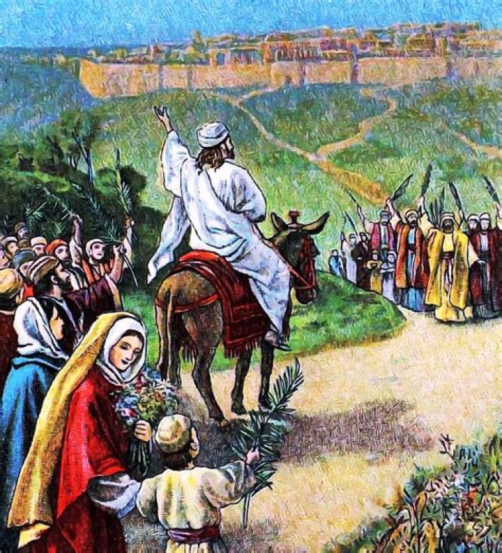 Did Jesus ride into Jerusalem on a donkey?