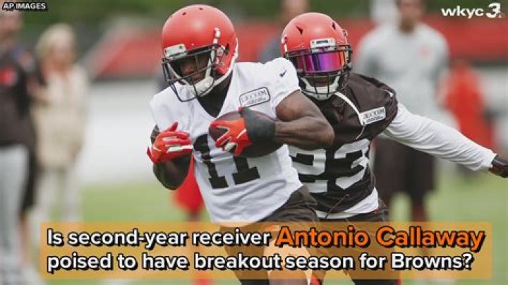 Did the Browns cut Antonio Callaway?