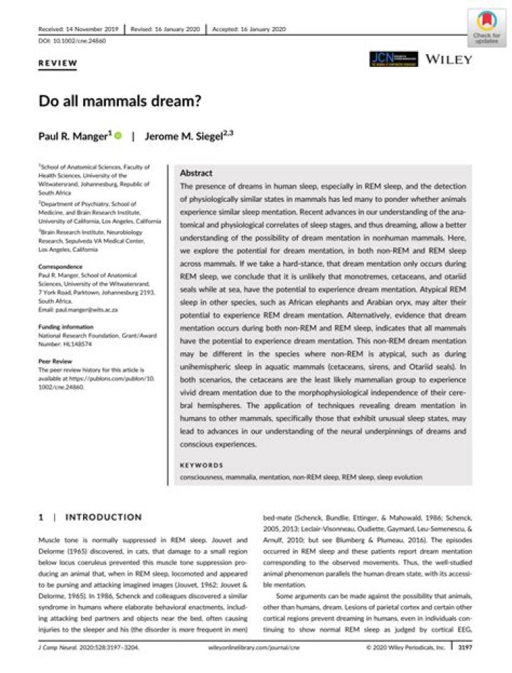 Do all mammals dream?