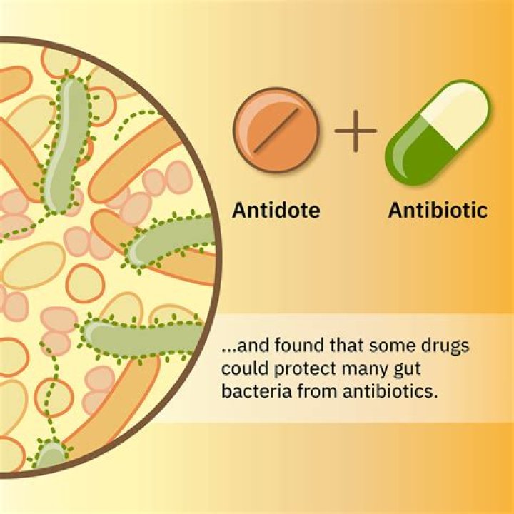 Do antibiotics kill your microbiome?