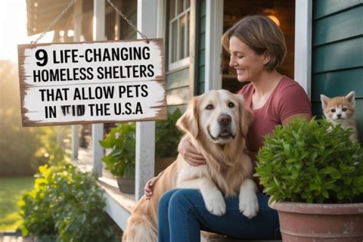 Do any homeless shelters allow pets?