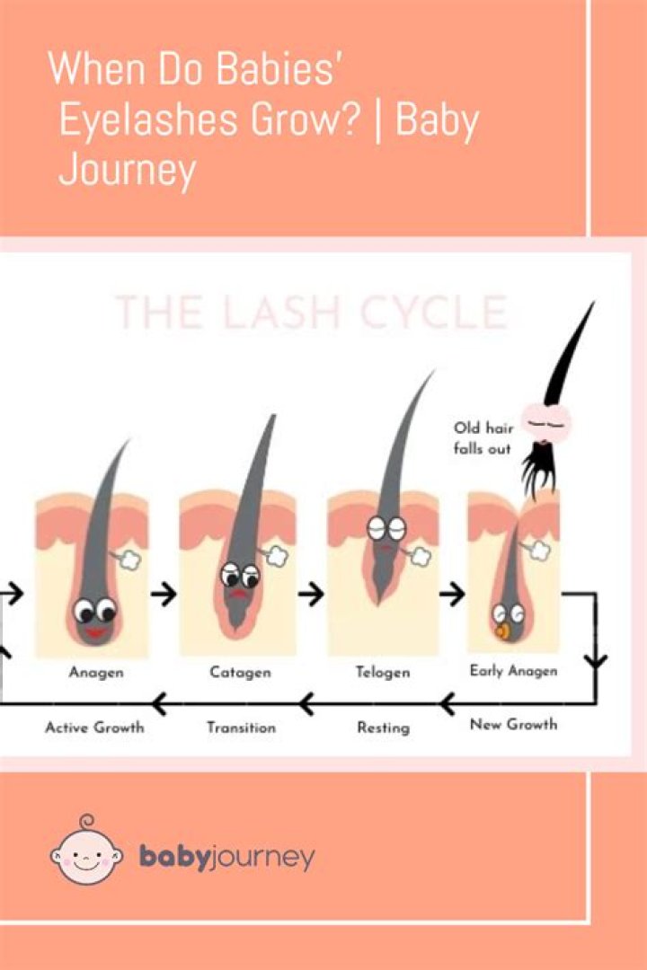 Do babies eyelashes keep growing?