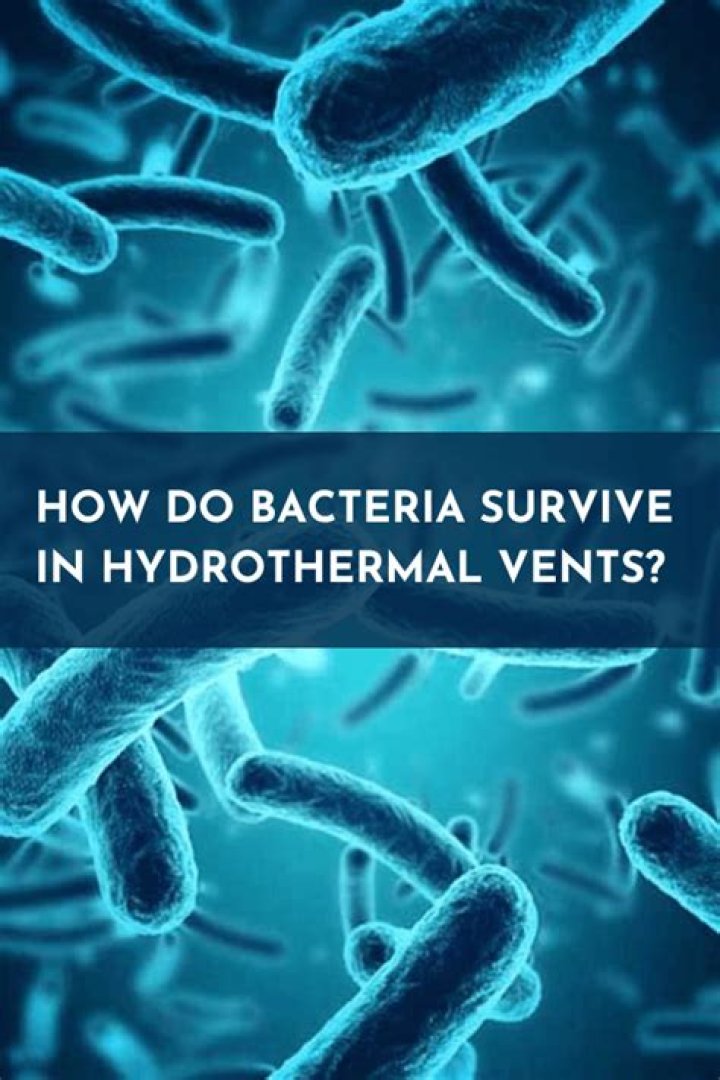 Do bacteria survive in oil?