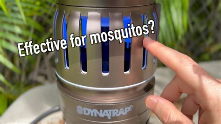 Do co2 traps work for bed bugs?