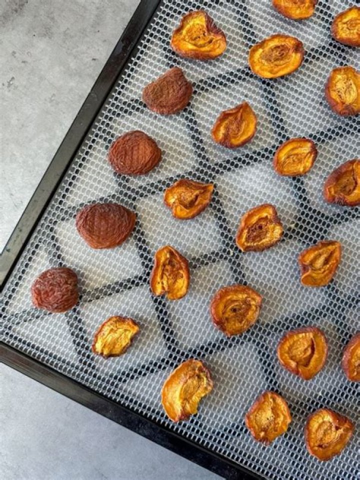 Do dried apricots mold?