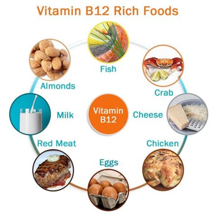 Do fermented foods have b12?