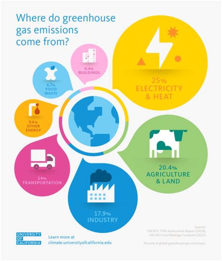 Do fish cause greenhouse gases?