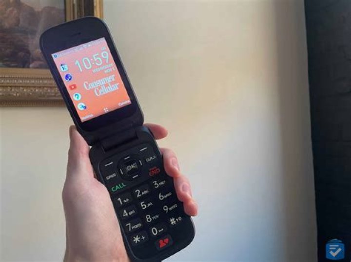 Do flip phones have Internet?