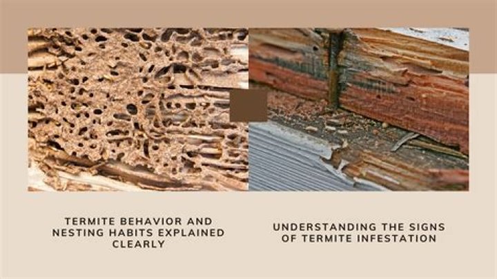 Do home inspections include termite?