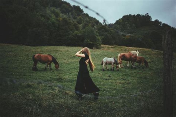 Do horses understand humans?