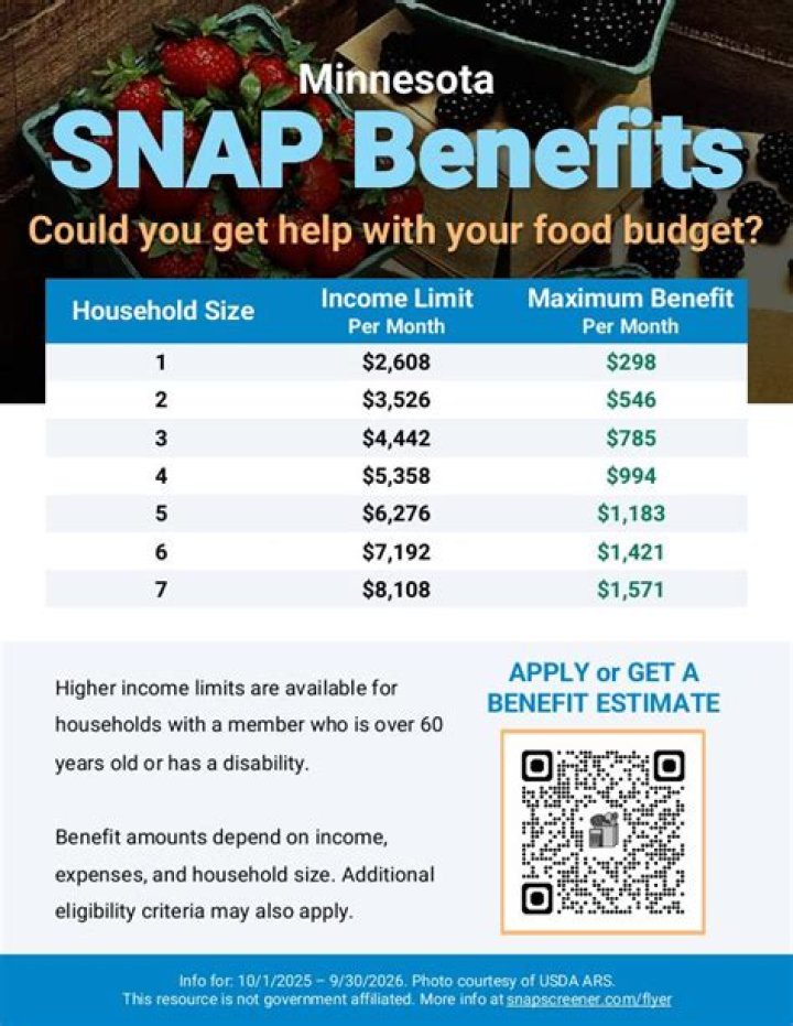 Do I qualify for EBT MN?