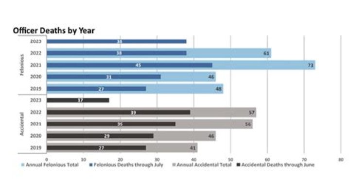 Do law enforcement officers do more harm than good?
