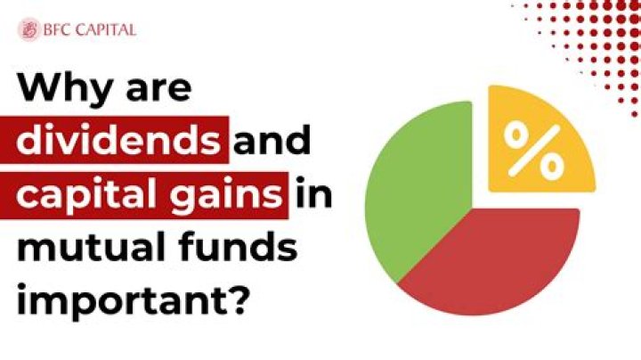 Do mutual funds pay qualified dividends?