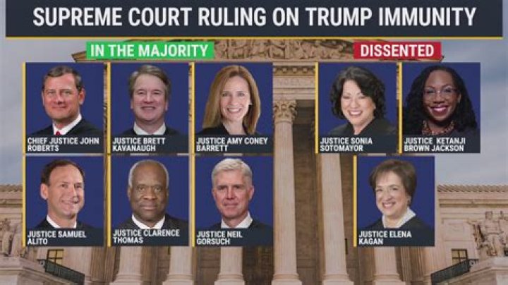 Do politicians have immunity from prosecution?