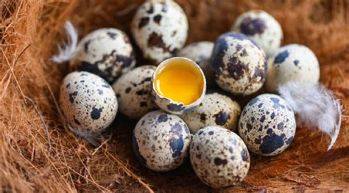 Do quail eggs help with allergies?