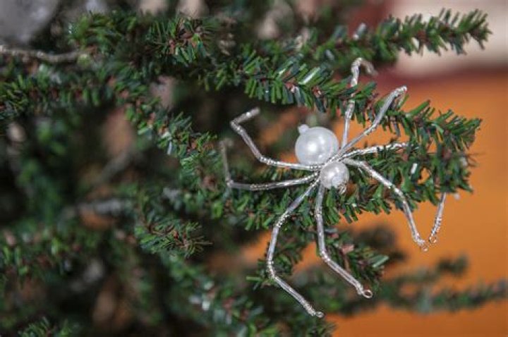 Do real Christmas trees attract spiders?