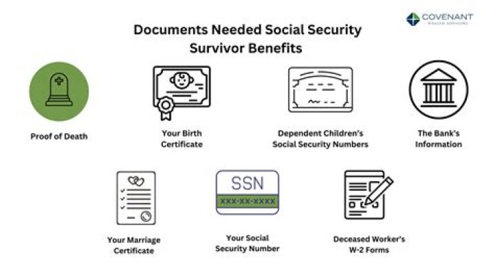 Do Social Security survivor benefits count as income for Medicaid?