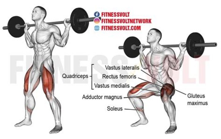 Do squats help inner thigh?