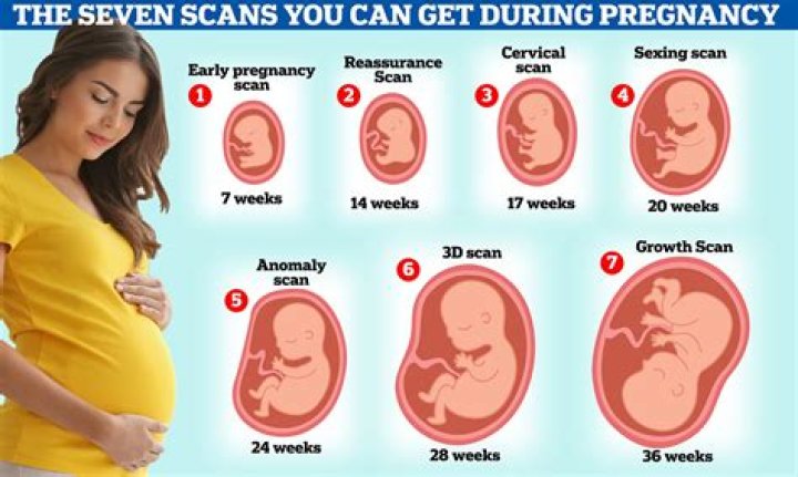 Do the baby has a girlfriend?