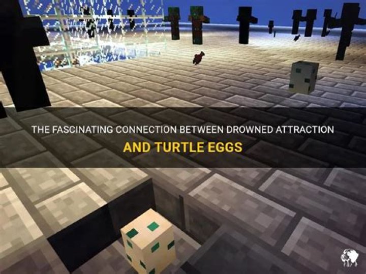 Do turtle eggs attract drowned?