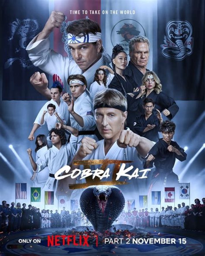 Do you get Cobra Kai with YouTube premium?