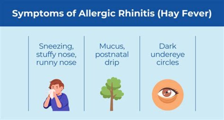 Do you get mucus with hay fever?