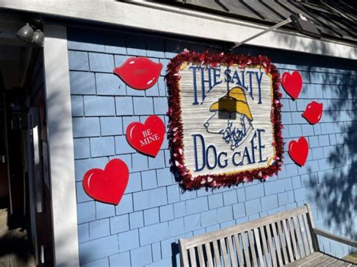 Do you have to pay to get to Salty Dog Cafe?