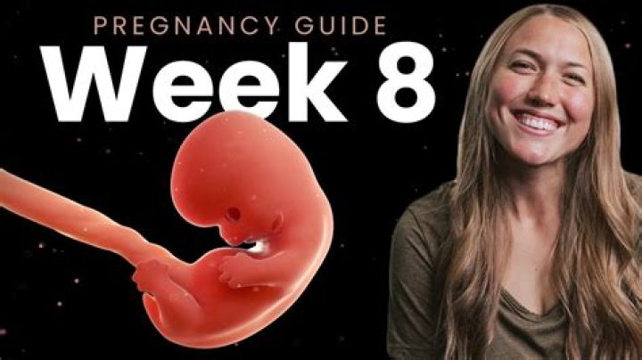 Do you show at 8 weeks of pregnancy?