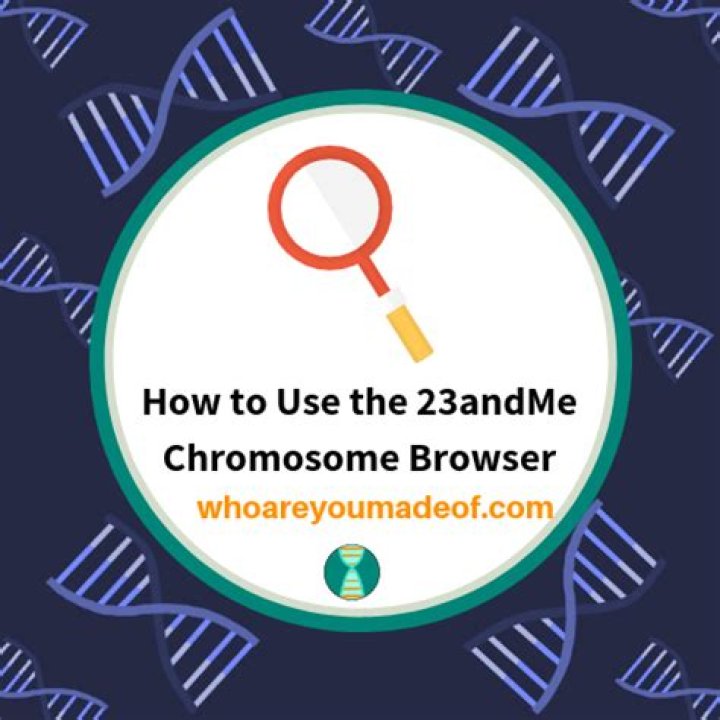 Does 23andMe have a chromosome browser?
