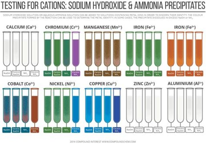 Does Ag+ precipitate or dissolve in ammonia?