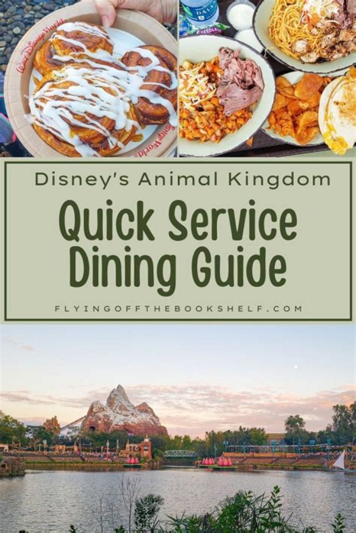 Does Animal Kingdom Lodge have quick service?