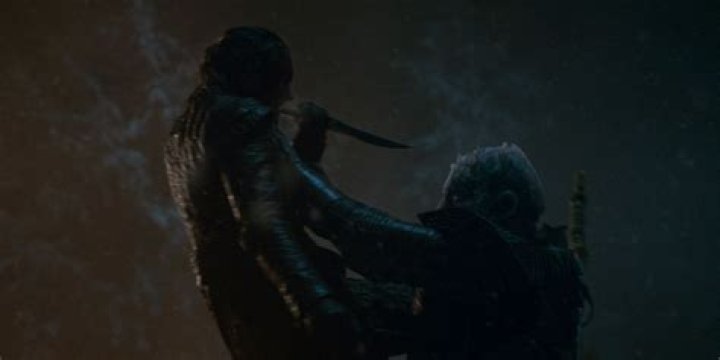 Does Arya kill the night King in the book?