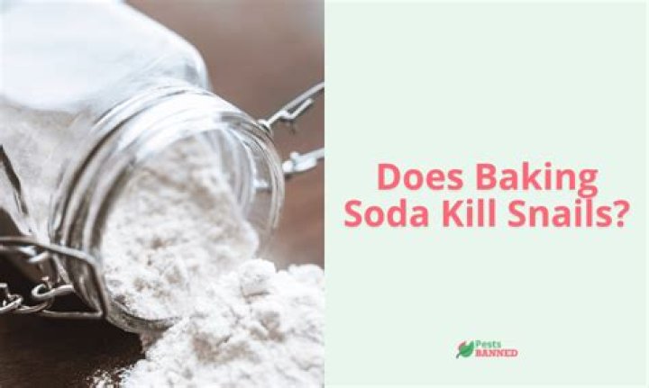 Does baking soda kill snails?