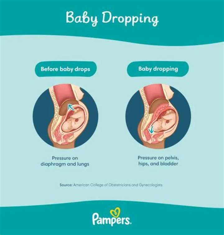 Does Belly dropping mean labor soon?
