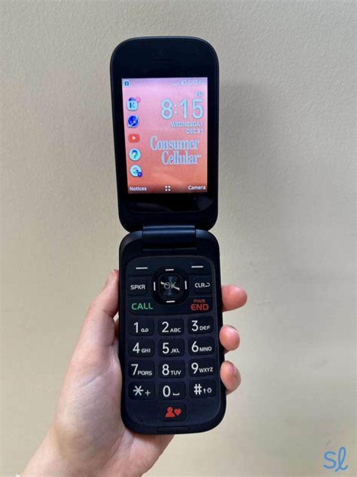 Does Best Buy carry flip phones?