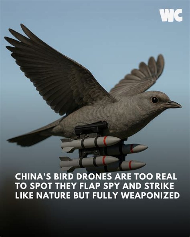 Does China use bird drones?