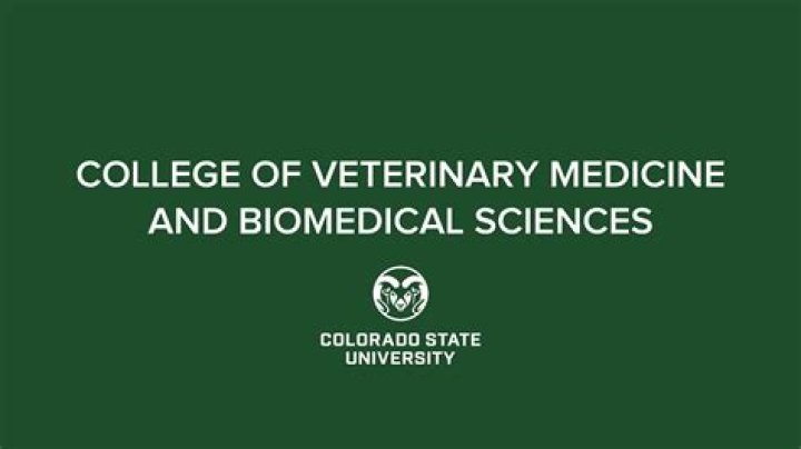 Does CSU have a vet program?