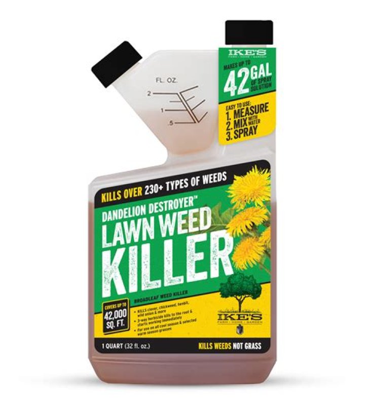 Does dandelion weed killer kill bees?