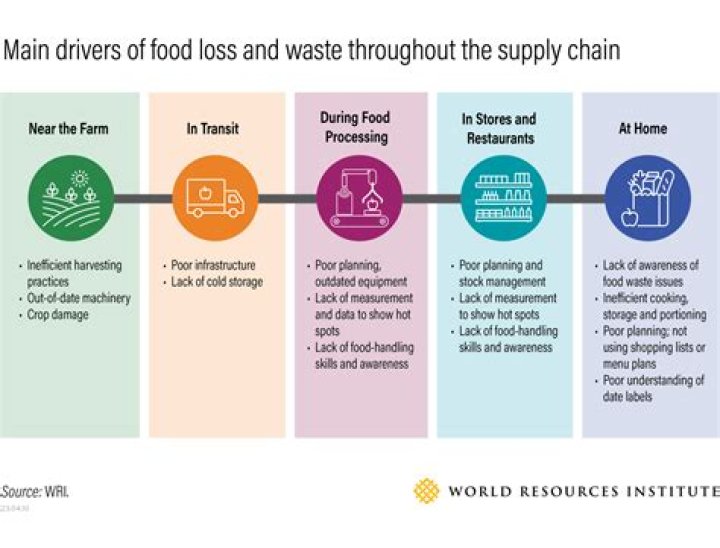 Does FPL reimburse for food loss?