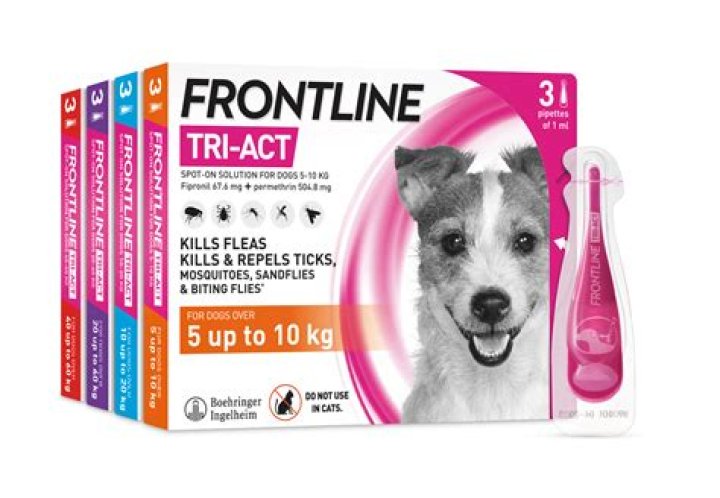 Does Frontline have side effects on dogs?