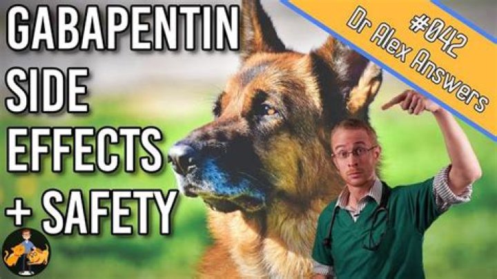 Does gabapentin make dogs sleepy?