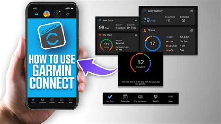 Does Garmin Connect work with Loseit?