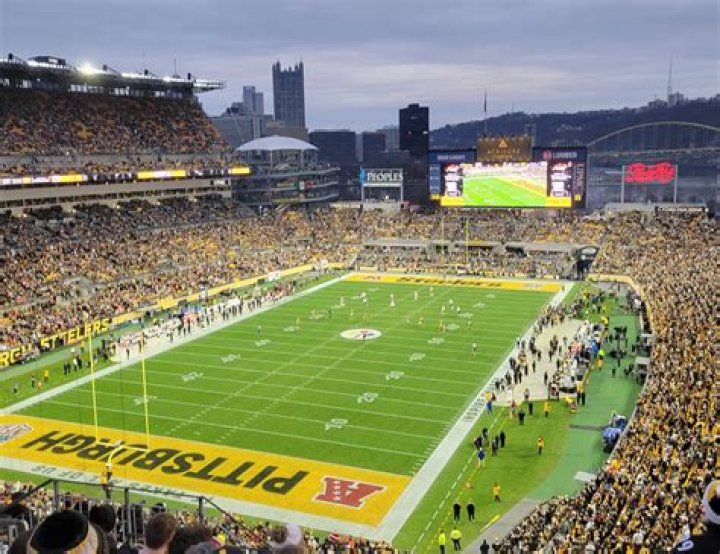 Does Heinz own the Steelers?