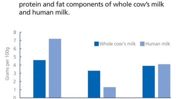 Does human milk have more protein than cow's milk?