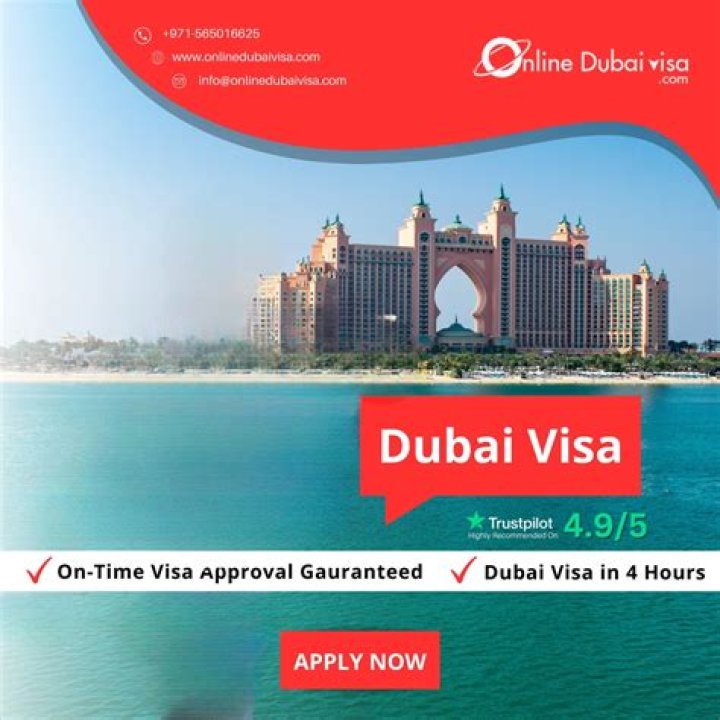 Does Indigo provide visa for Dubai?