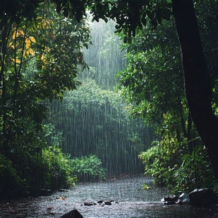 Does it rain in Rajasthan?