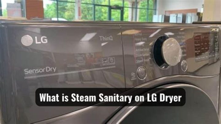 Does LG steam dryer work?