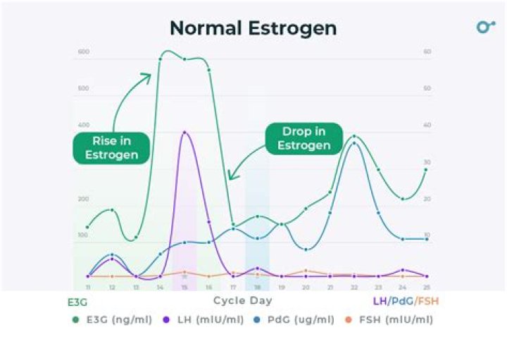 Does magnesium affect estrogen levels?