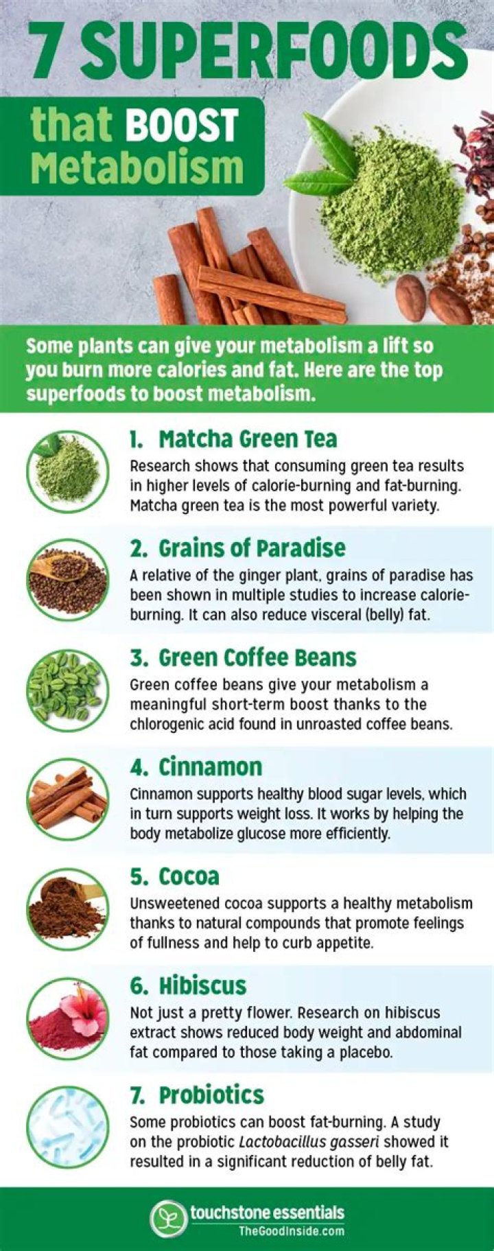 Does Matcha boost metabolism?